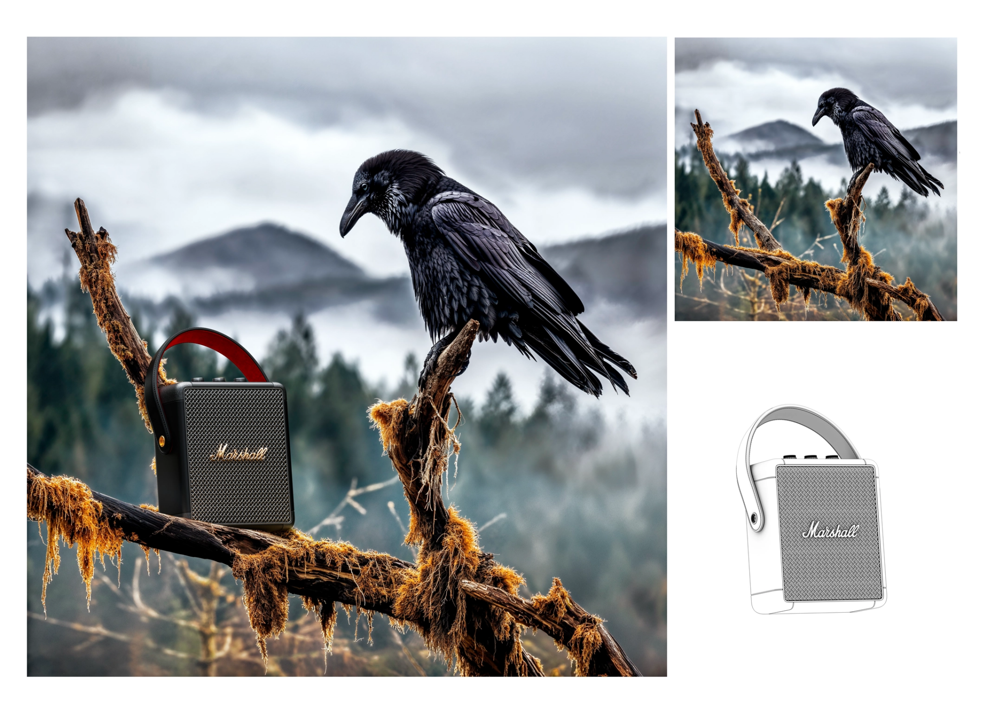 I.A. 3D Marshall enceinte corbeau forêt publicité