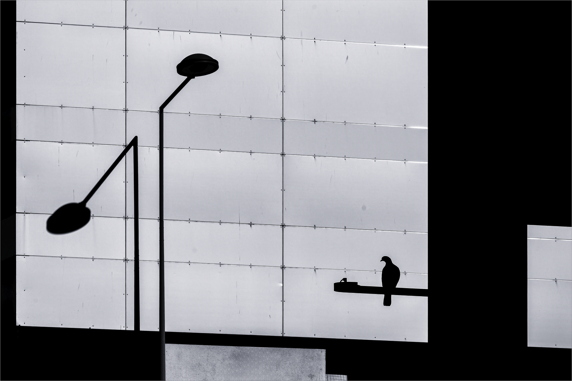 photographie immeuble ombres oiseau sur lampadaire