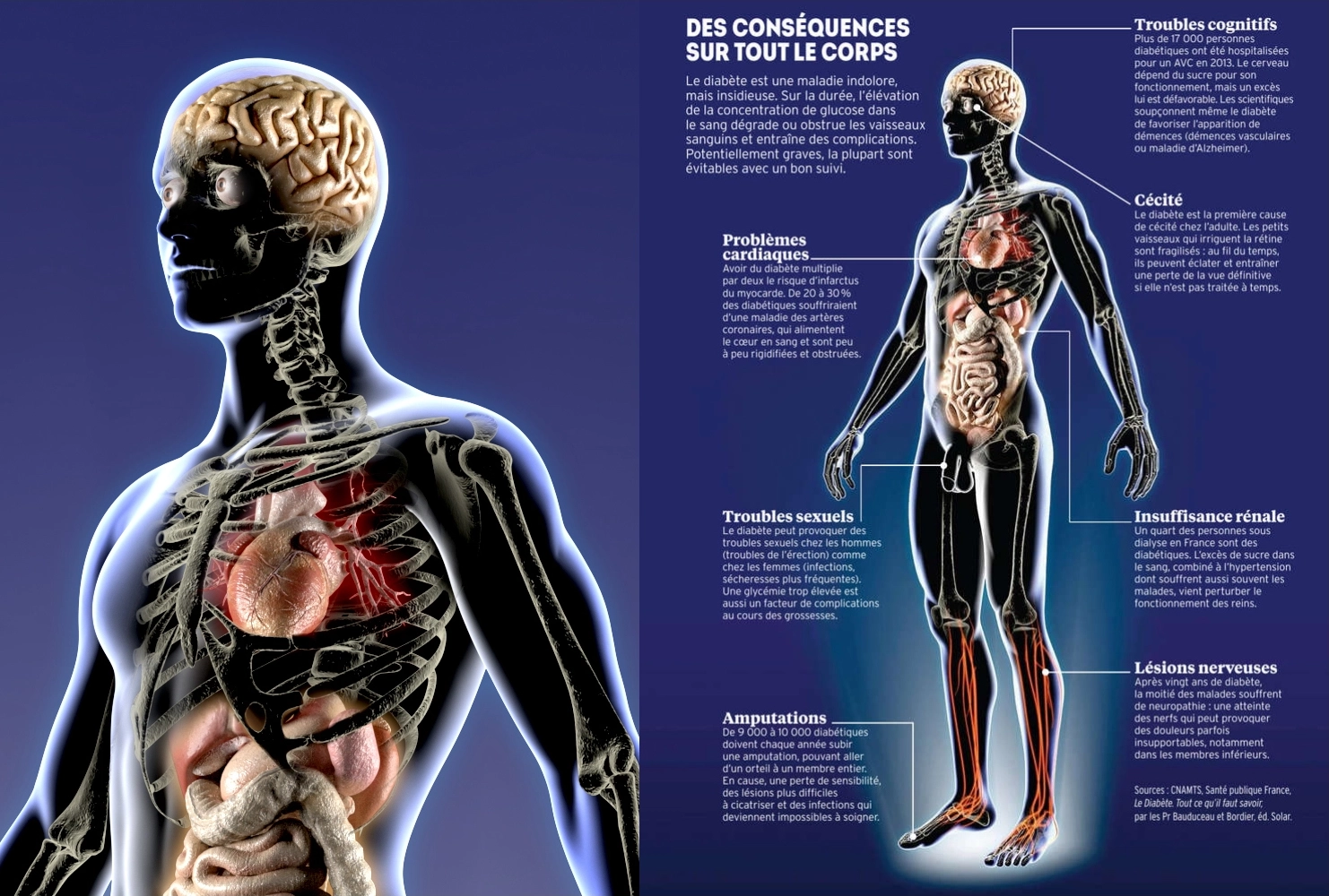 3D illustration in 3ds Max: L'Express magazine, human anatomy, medical